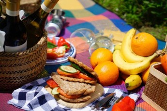 Picnic Hikes