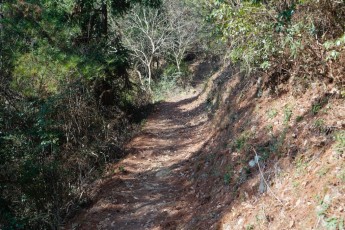 Running the trails